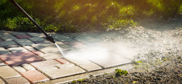 Best Roof Cleaning and Mildew Removal in Woodsi East, DE